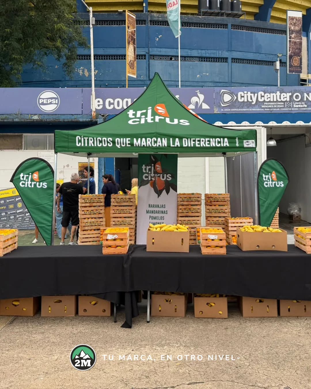 Gazebo con gráfica