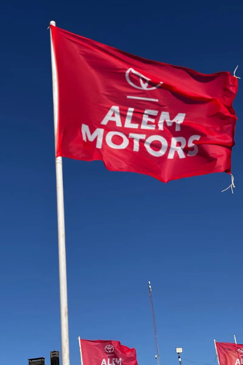 Flybanner